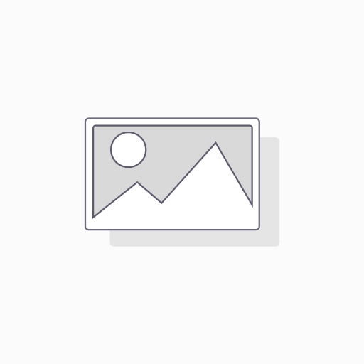 [# 3688] Meindl Wachdienst HS GTX Men (06 (39))